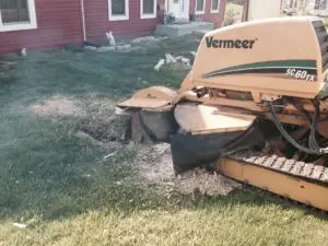 Tree Removal Service Bridgeton MO