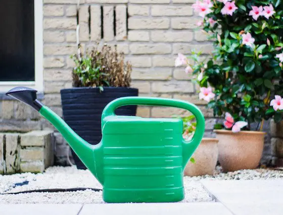 watering can