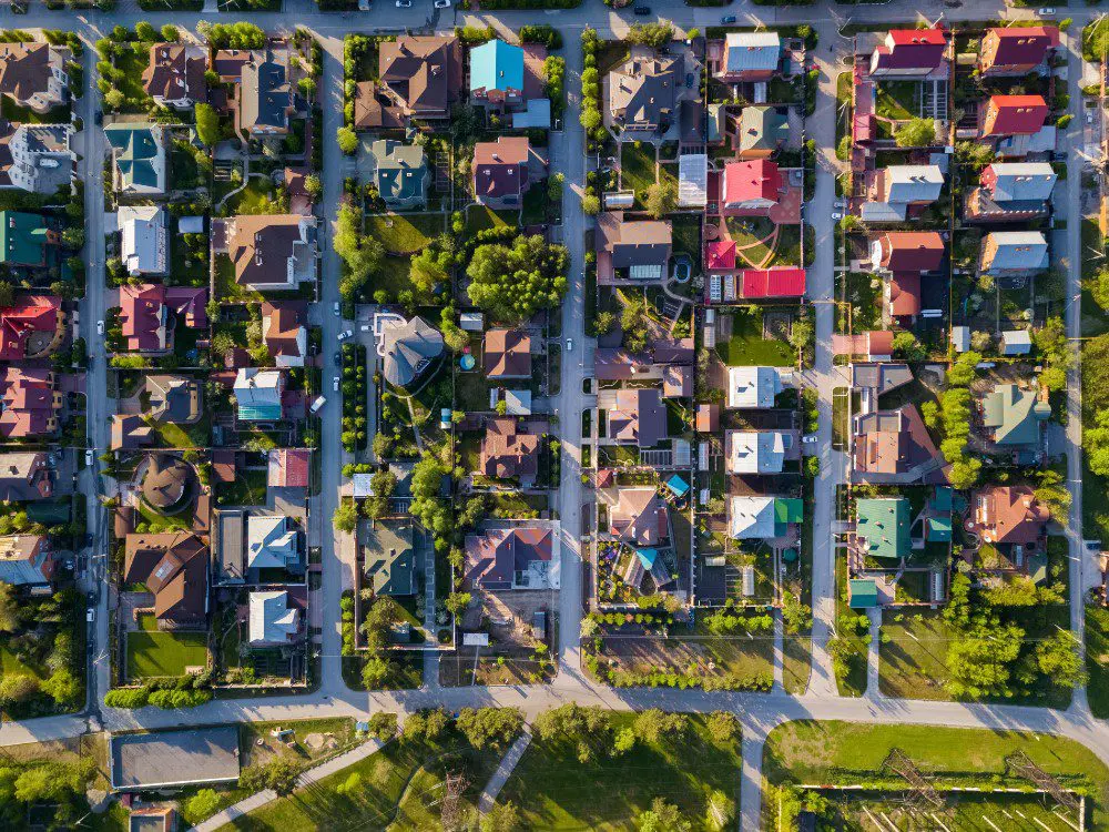 Tree Vaccinators plant health care services