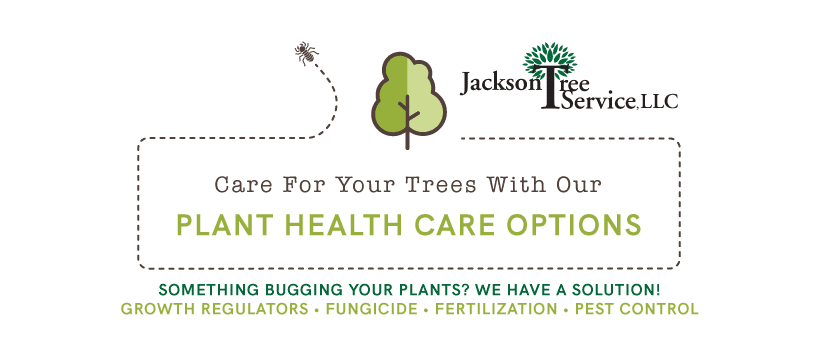 a graphic of Jackson Tree Service's plant health care services