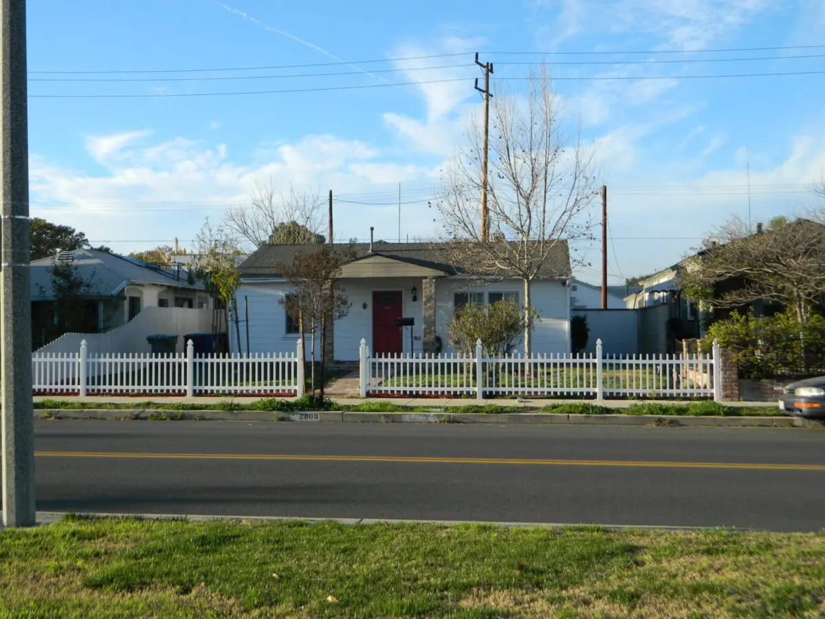 a tree dying in the st. louis area