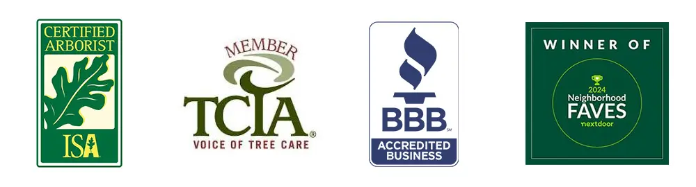 Awards & Associations