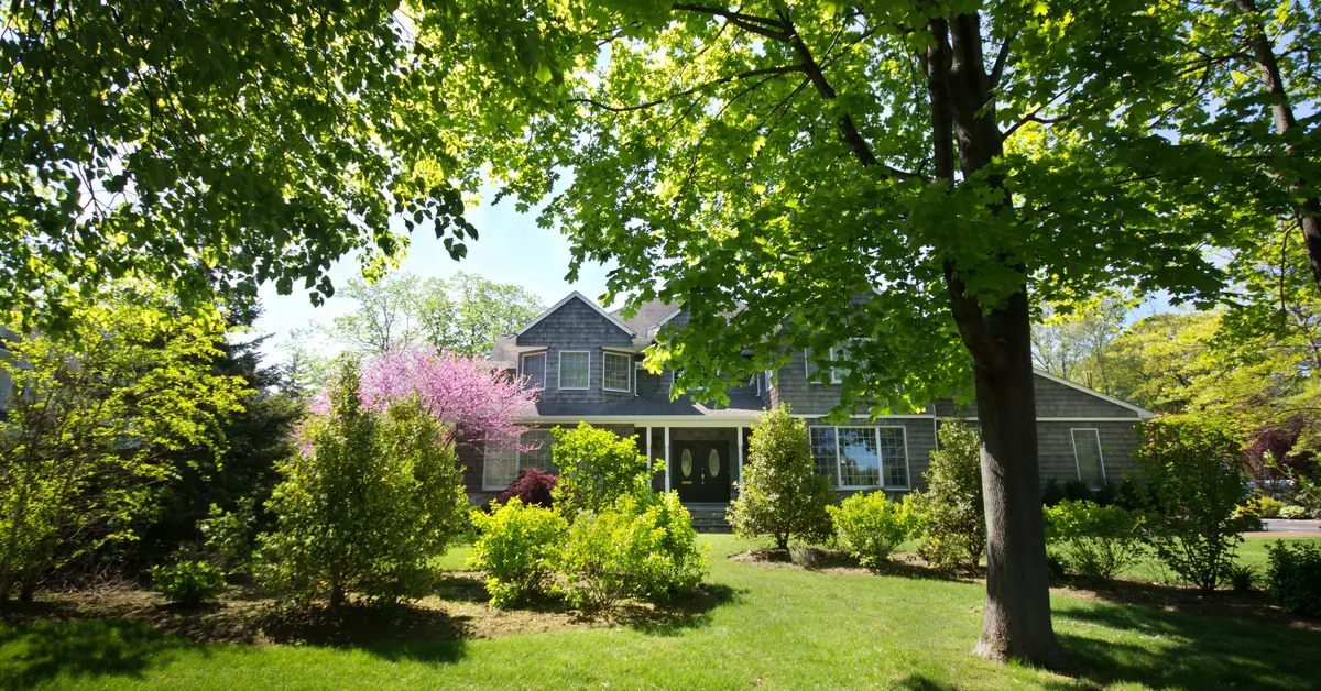 A suburban home with a manicured lawn, leafy trees, and flowering shrubs under bright sunlight in a quiet neighborhood.