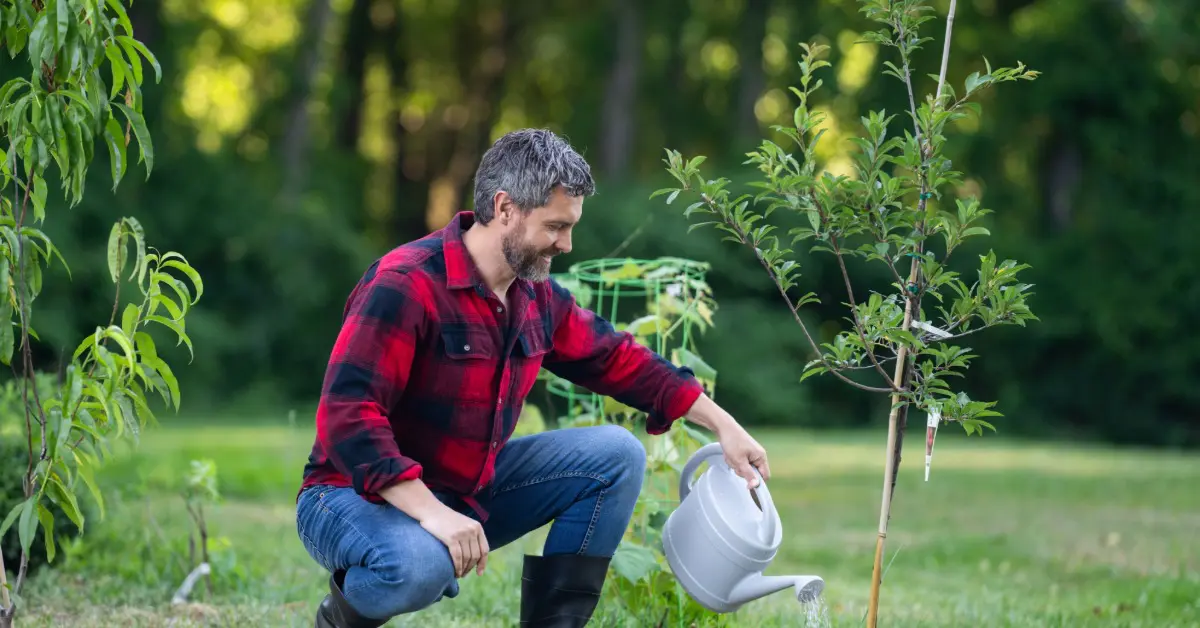 jacksonfamilytreeservice-460968-man-watering-trees-blogbanner A man is using a watering can to water a young tree in a backyard garden while kneeling on the grass.