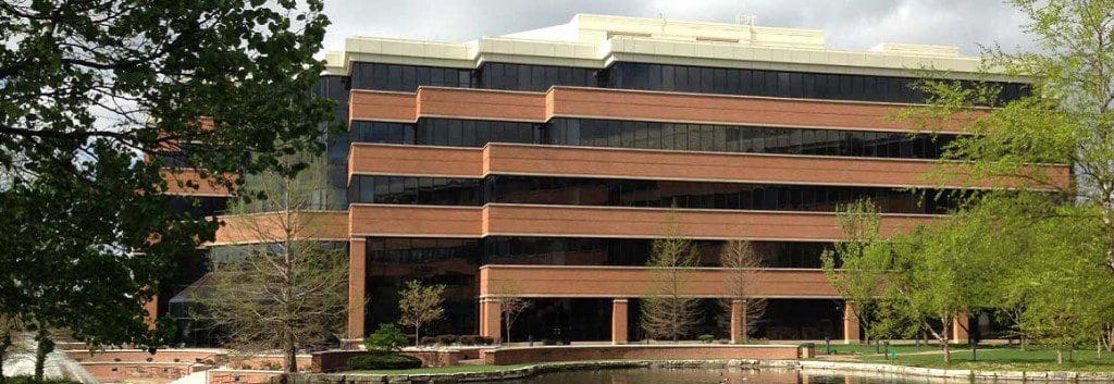 St Louis Tree Services Removal, Pruning, &amp; More