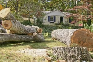 Tree Removal Service St. Ann MO