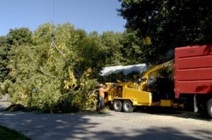 Tree Service Chesterfield MO