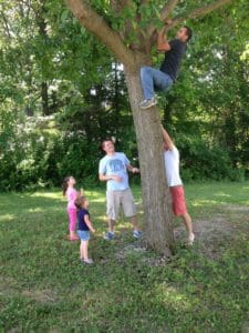 family climbing tree in st louis