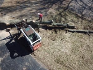 aerial view 2 of st louis tree removal 