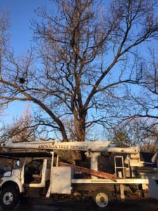Tree Removal Truck St Louis