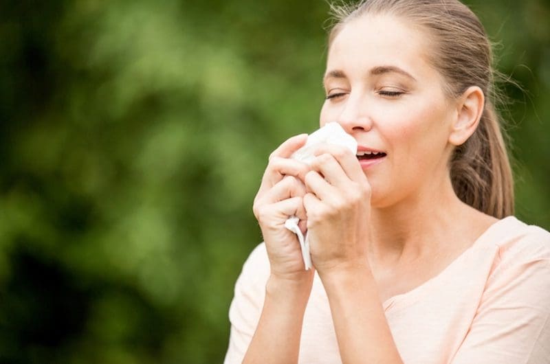 St. Louis Area Trees with the Lowest Allergy Index for Spring Jackson