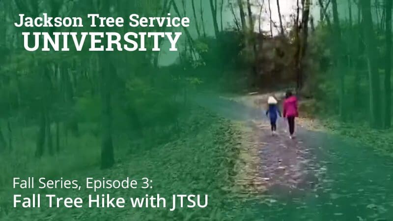 Fall Series, Episode 3: Fall Tree Hike with Jackson Tree Service University