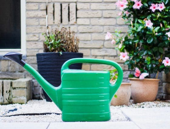louis-hansel-OJL1Z0wSSIA-unsplash (1) watering can