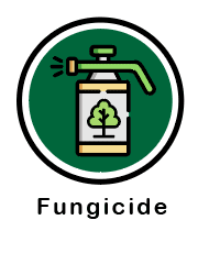 st. louis fungicide for plants