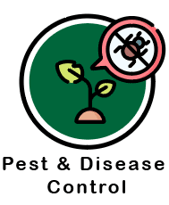 st. louis pest and disease control