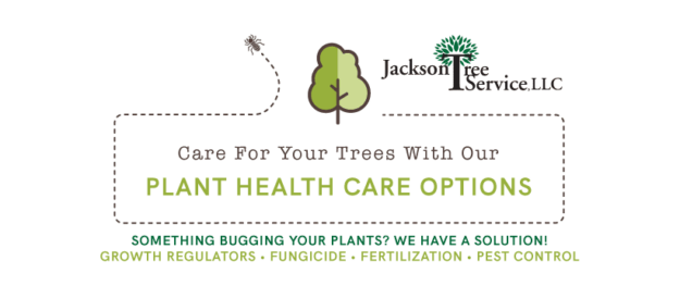a graphic of Jackson Tree Service's plant health care services