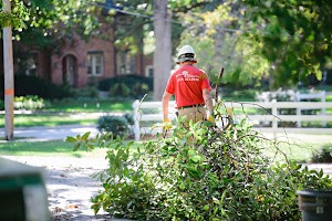 Jackson Tree Service